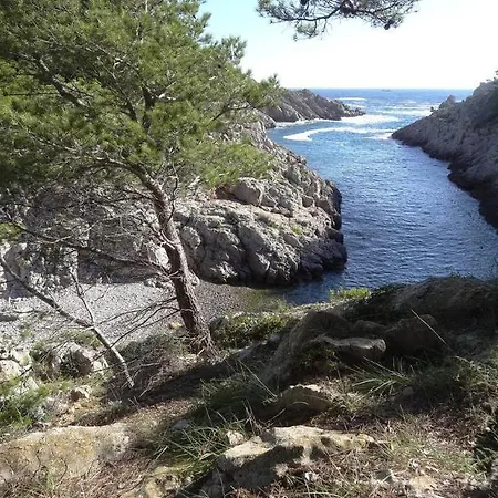 Magda Park 2d